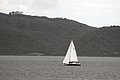 DSC_9842.JPG