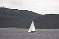 DSC_9843.JPG