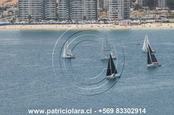 DSC_6393.JPG