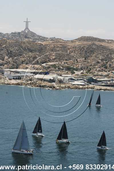 DSC_6445.JPG