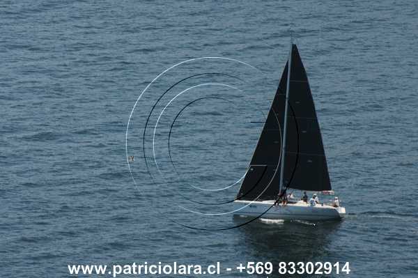 DSC_6447.JPG