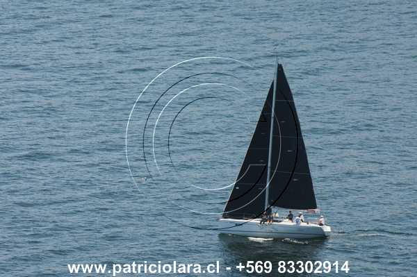 DSC_6448.JPG