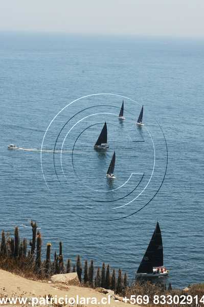 DSC_6489.JPG