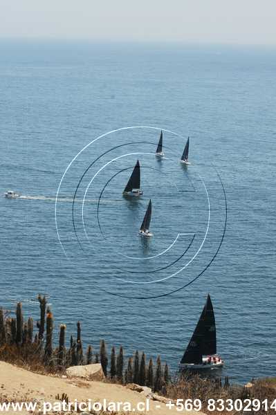 DSC_6490.JPG