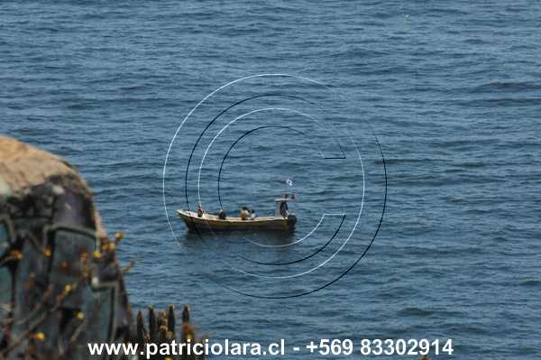 DSC_6491.JPG