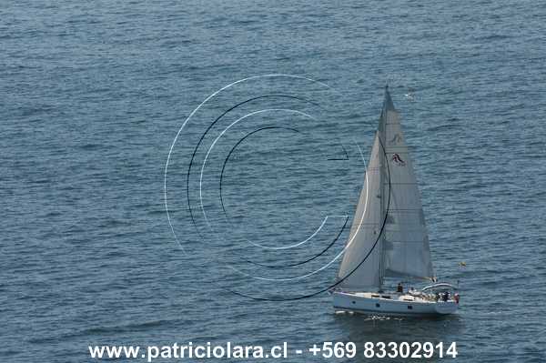 DSC_6494.JPG