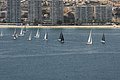 DSC_6389.JPG