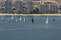DSC_6390.JPG