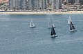 DSC_6393.JPG