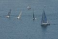 DSC_6397.JPG