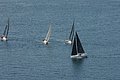 DSC_6401.JPG