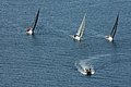 DSC_6403.JPG