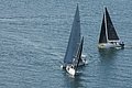 DSC_6405.JPG