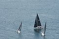 DSC_6408.JPG