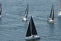 DSC_6411.JPG