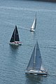 DSC_6414.JPG