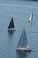 DSC_6415.JPG