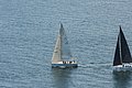 DSC_6416.JPG