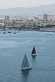 DSC_6417.JPG
