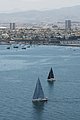 DSC_6418.JPG