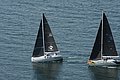 DSC_6426.JPG