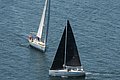 DSC_6431.JPG