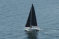 DSC_6442.JPG