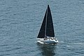 DSC_6443.JPG