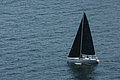 DSC_6447.JPG