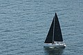 DSC_6448.JPG