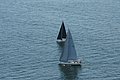 DSC_6452.JPG