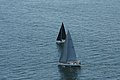 DSC_6453.JPG