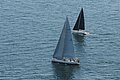 DSC_6454.JPG