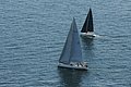 DSC_6455.JPG
