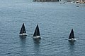 DSC_6456.JPG