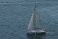 DSC_6465.JPG