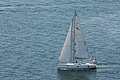 DSC_6466.JPG
