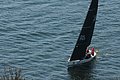 DSC_6471.JPG
