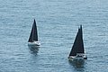 DSC_6480.JPG
