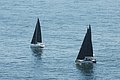 DSC_6481.JPG