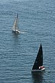 DSC_6482.JPG