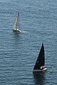 DSC_6483.JPG