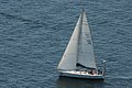 DSC_6484.JPG