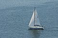 DSC_6485.JPG