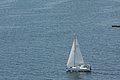 DSC_6486.JPG