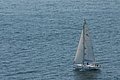 DSC_6493.JPG
