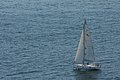 DSC_6494.JPG