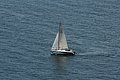 DSC_6495.JPG