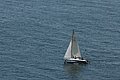 DSC_6497.JPG