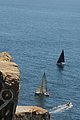 DSC_6501.JPG